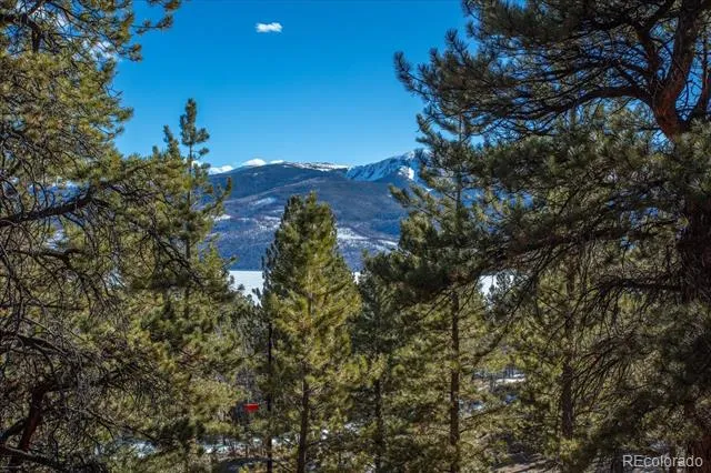 123 La Plata Peak Drive Twin Lakes, CO 81251