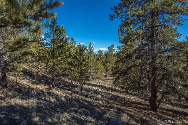 123 La Plata Peak Drive Twin Lakes, CO 81251