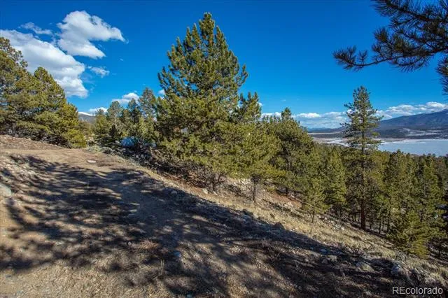 123 La Plata Peak Drive Twin Lakes, CO 81251