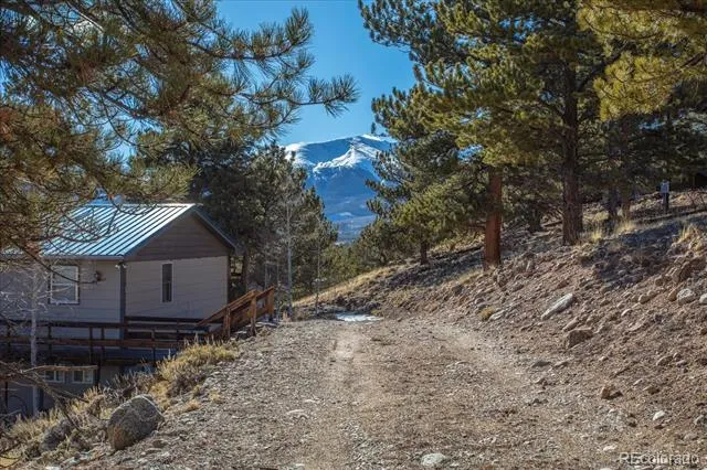 123 La Plata Peak Drive Twin Lakes, CO 81251