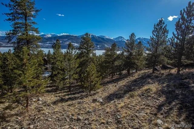 123 La Plata Peak Drive Twin Lakes, CO 81251