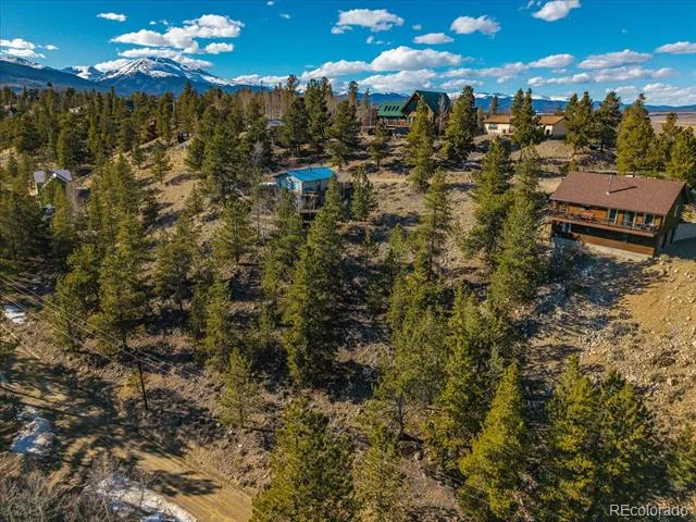123 La Plata Peak Drive Twin Lakes, CO 81251