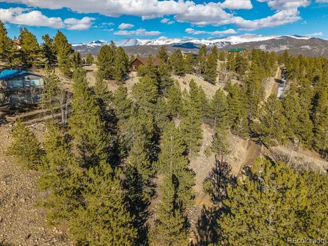 123 La Plata Peak Drive Twin Lakes, CO 81251