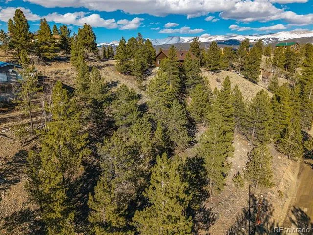 123 La Plata Peak Drive Twin Lakes, CO 81251