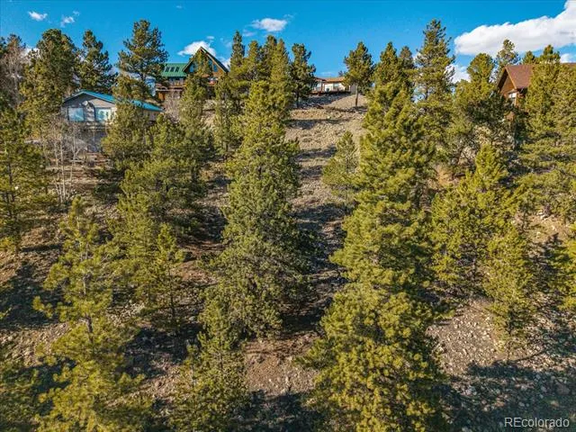 123 La Plata Peak Drive Twin Lakes, CO 81251