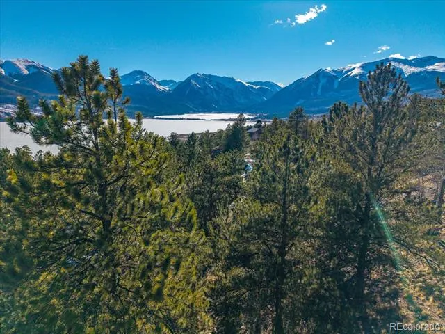 123 La Plata Peak Drive Twin Lakes, CO 81251