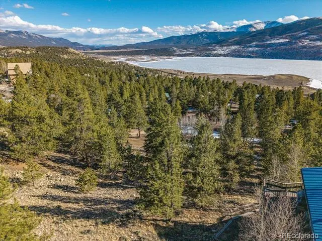 123 La Plata Peak Drive Twin Lakes, CO 81251