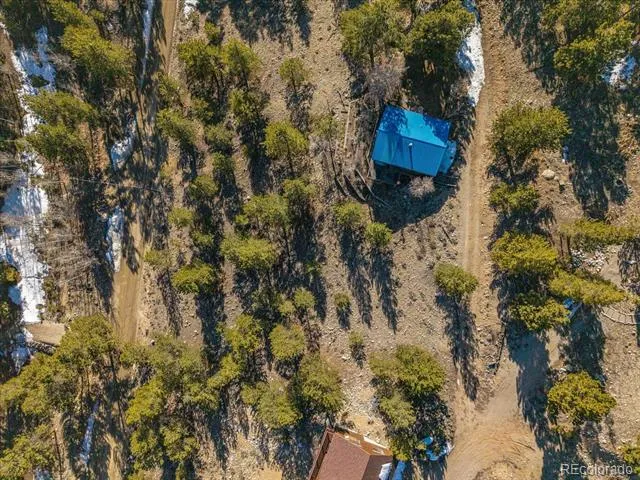 123 La Plata Peak Drive Twin Lakes, CO 81251