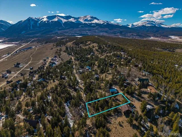 123 La Plata Peak Drive Twin Lakes, CO 81251