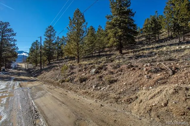123 La Plata Peak Drive Twin Lakes, CO 81251