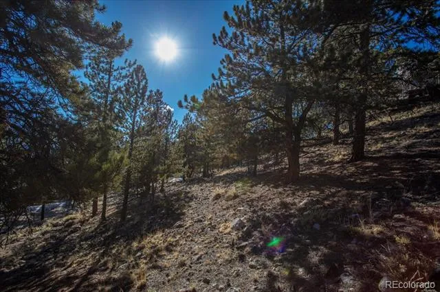 123 La Plata Peak Drive Twin Lakes, CO 81251