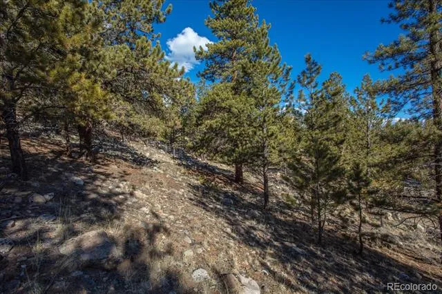 123 La Plata Peak Drive Twin Lakes, CO 81251