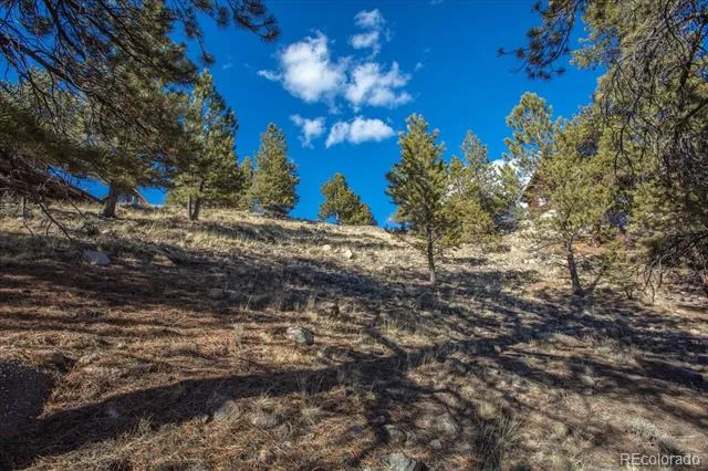 123 La Plata Peak Drive Twin Lakes, CO 81251