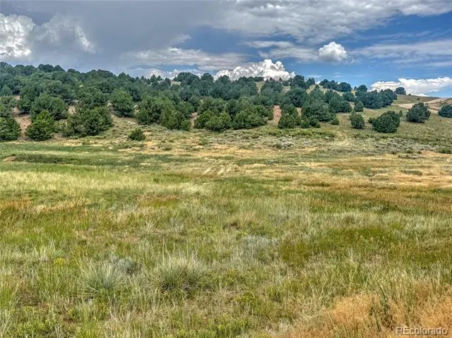 TBD Lot 21 Kiowa Road Westcliffe, CO 81252
