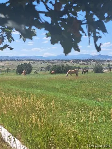 895 B STREET Penrose, CO 81240