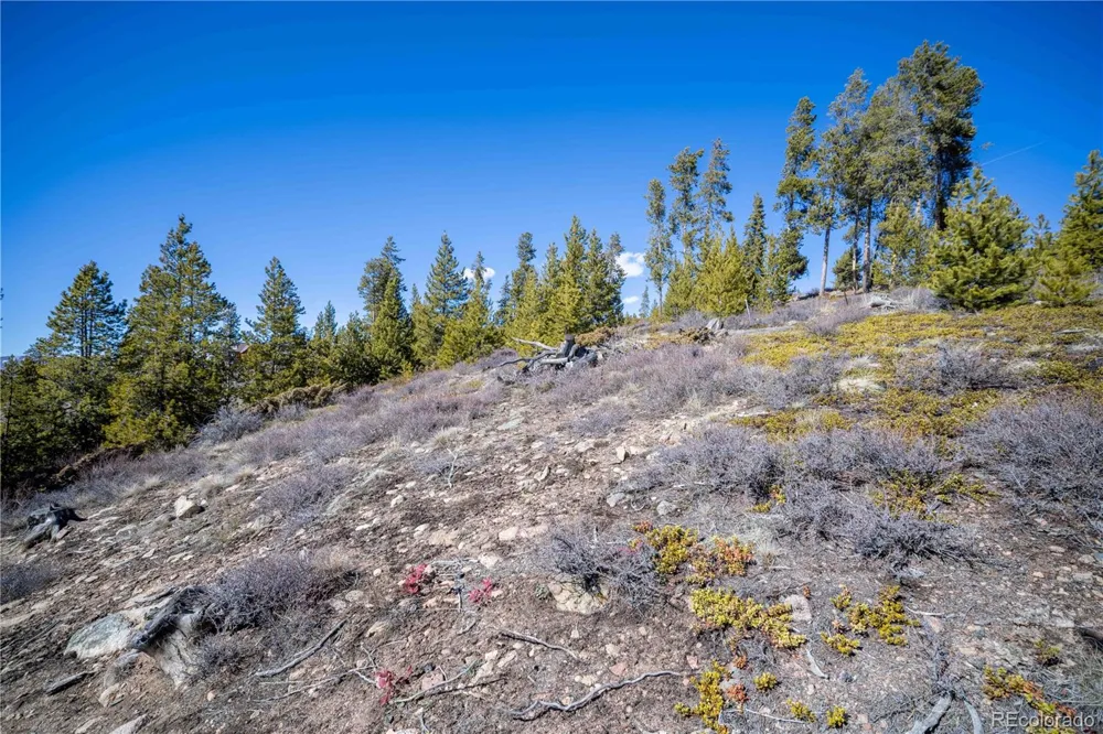1384 Rocky Mountain Drive Grand Lake, CO 80447