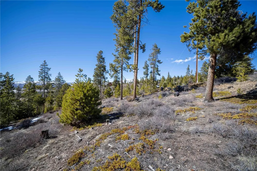 1384 Rocky Mountain Drive Grand Lake, CO 80447