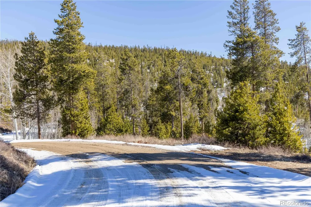 1384 Rocky Mountain Drive Grand Lake, CO 80447