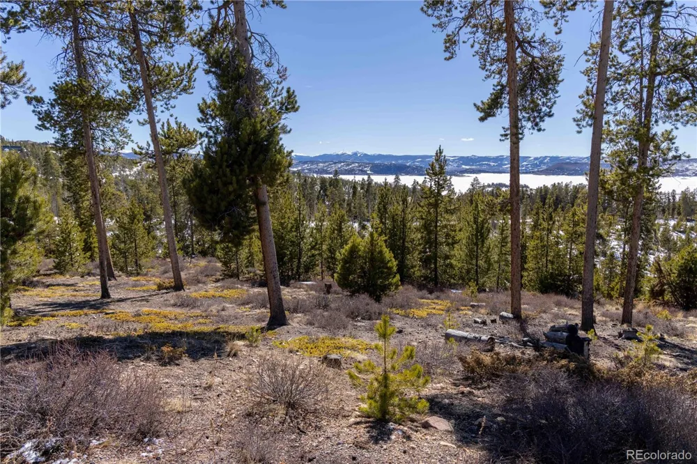 1384 Rocky Mountain Drive Grand Lake, CO 80447