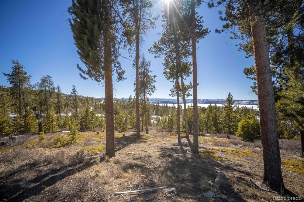 1384 Rocky Mountain Drive Grand Lake, CO 80447