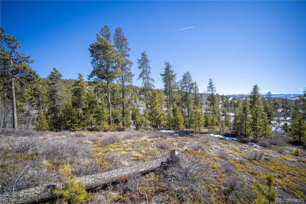 1384 Rocky Mountain Drive Grand Lake, CO 80447