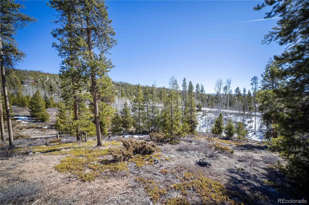 1384 Rocky Mountain Drive Grand Lake, CO 80447