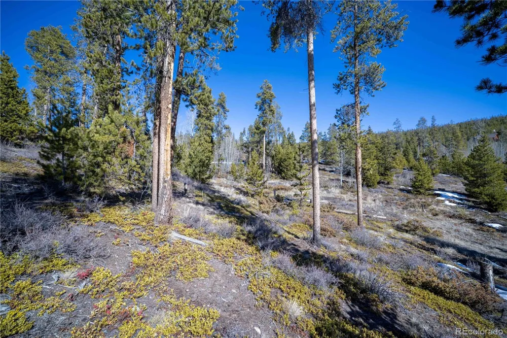 1384 Rocky Mountain Drive Grand Lake, CO 80447