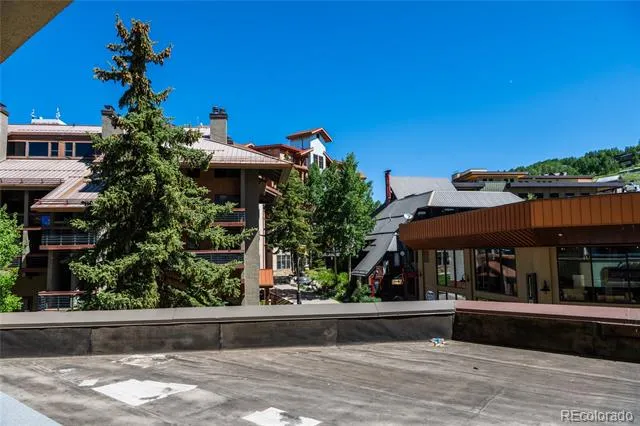 500 Gothic Road #330 Mt Crested Butte, CO 81225