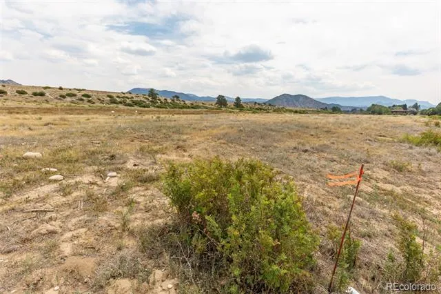24257 River Rock Lane Buena Vista, CO 81211