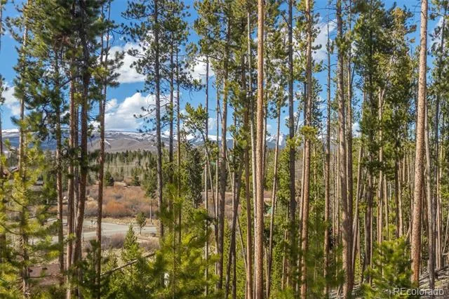 135 GCR 480 Grand Lake, CO 80447