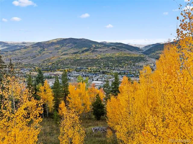 Address Not Shown Silverthorne, CO 80498