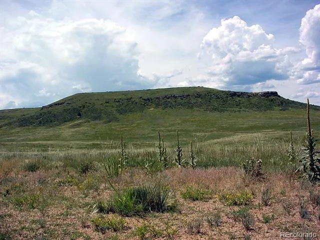 Lot 7 Twin Buffs Road Larkspur, CO 80118