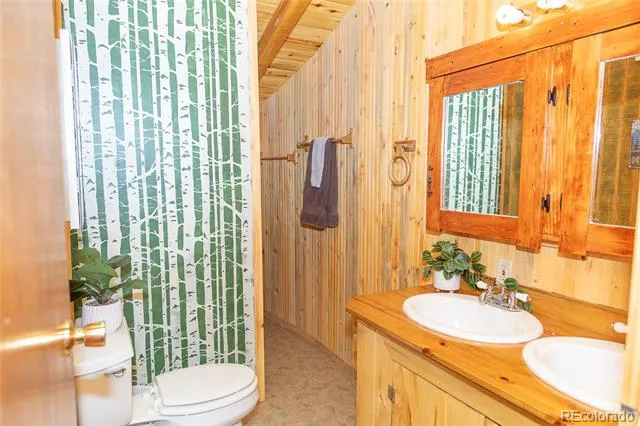 4100 Usfs Rd 515 #460 Creede, CO 81130