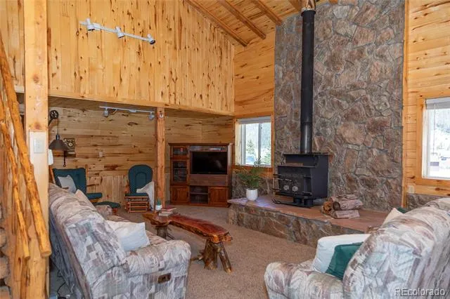 4100 Usfs Rd 515 #460 Creede, CO 81130
