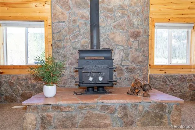 4100 Usfs Rd 515 #460 Creede, CO 81130