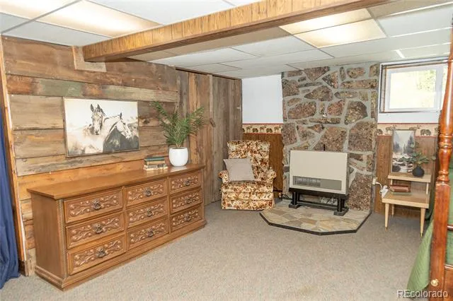 4100 Usfs Rd 515 #460 Creede, CO 81130