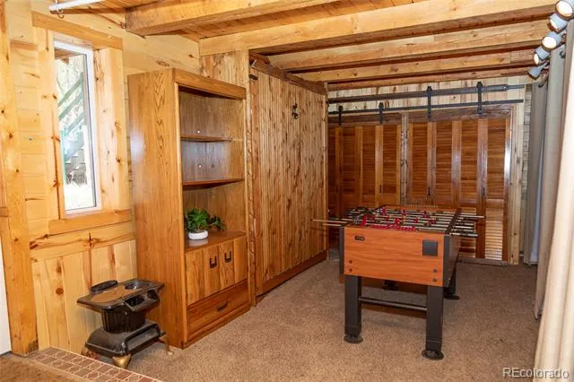 4100 Usfs Rd 515 #460 Creede, CO 81130