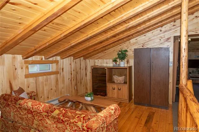 4100 Usfs Rd 515 #460 Creede, CO 81130