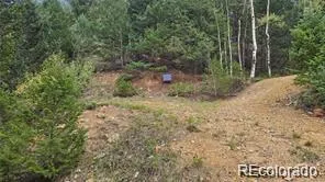 Address Not Shown Dumont, CO 80436