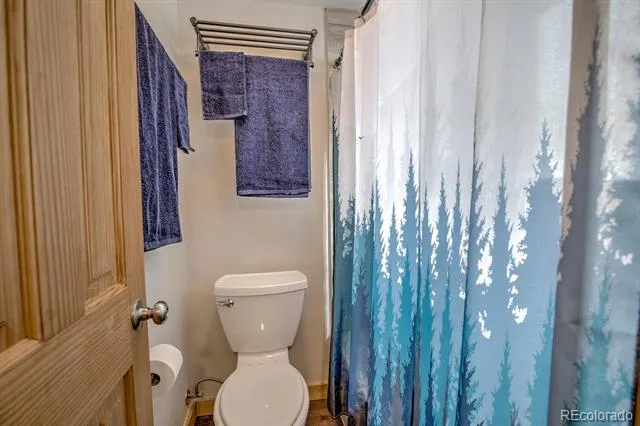 1133 Straight Creek Drive #108 Dillon, CO 80435