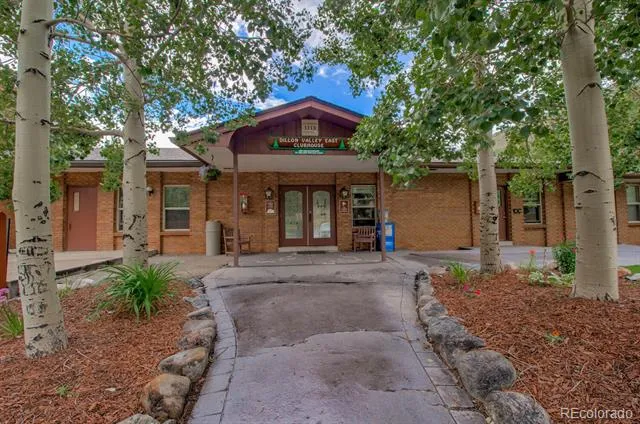 1133 Straight Creek Drive #108 Dillon, CO 80435
