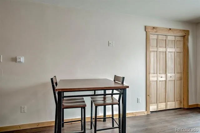 1133 Straight Creek Drive #108 Dillon, CO 80435