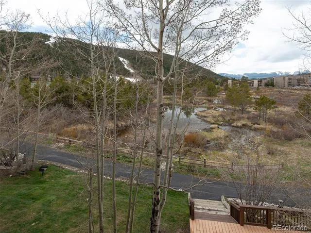 1653 Oro Grande Drive #AA34 Keystone, CO 80435