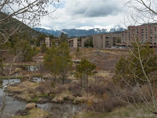 1653 Oro Grande Drive #AA34 Keystone, CO 80435