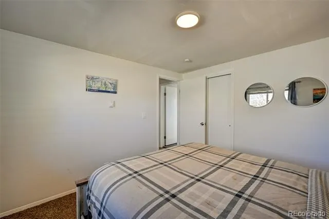 116 Dartmouth Drive Buena Vista, CO 81211