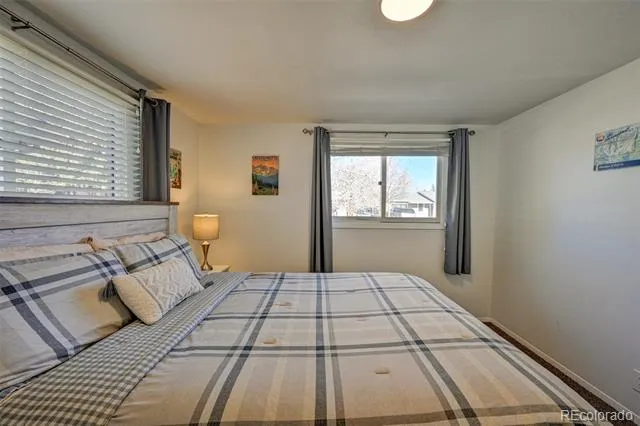 116 Dartmouth Drive Buena Vista, CO 81211