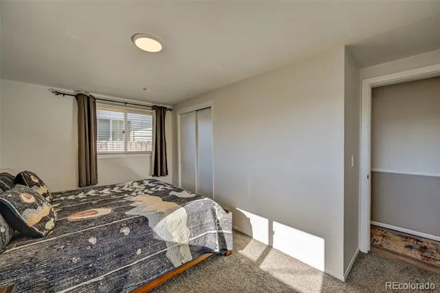 116 Dartmouth Drive Buena Vista, CO 81211