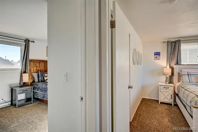 116 Dartmouth Drive Buena Vista, CO 81211
