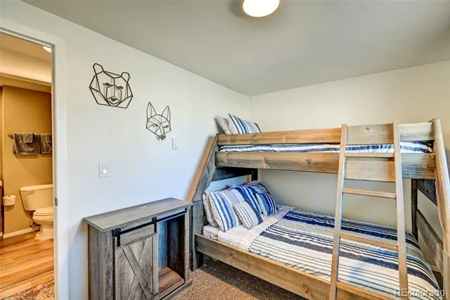 116 Dartmouth Drive Buena Vista, CO 81211