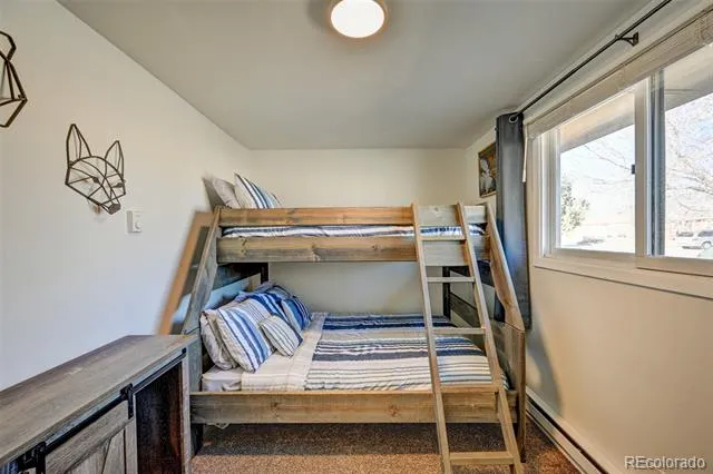 116 Dartmouth Drive Buena Vista, CO 81211
